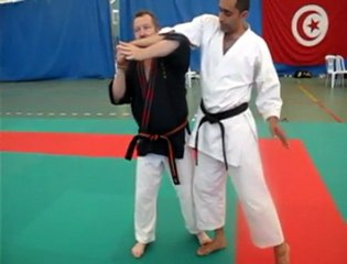 Nihon Tai-Jitsu le Tenbin Gatame (principes, applications,variantes et enchaînements)