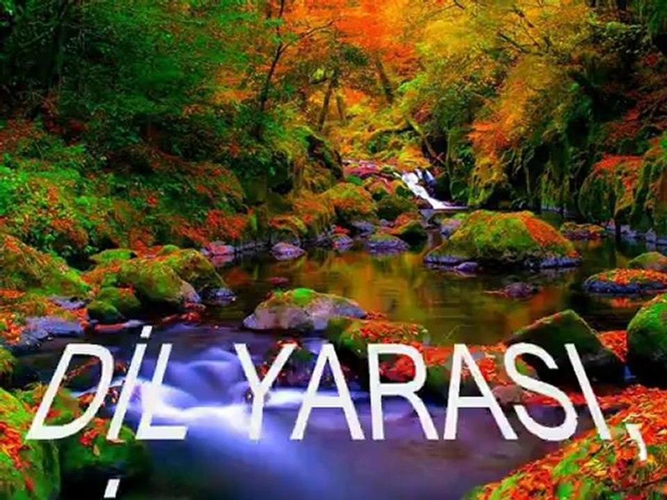 ÖMER SUMAN - Dil YARASI