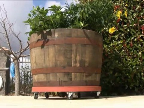 The Plant Dolly - Heavy Duty Plant Dollies Are a Lifesaver!