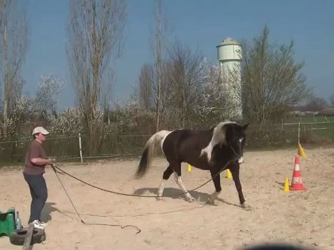 30.03.2012.g.nasdak.cavaliti