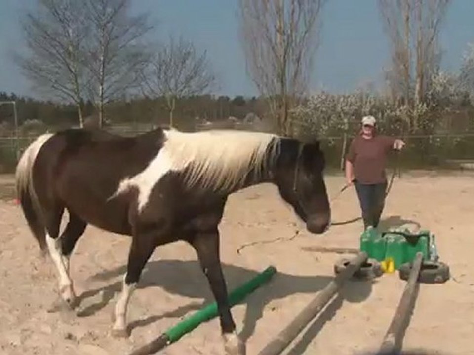 30.03.2012.f.nasdak.cavaliti