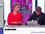 Zapping Actu du 06 Avril 2012 - Nos politiques se déchainent, L'escroc aux milles visages