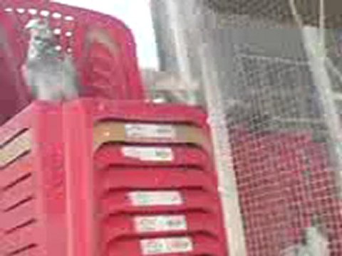 Garipci Ramazan Suriyeden getirdiği karışma kuşları 1 guvercinurfa.com