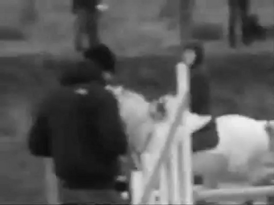 "If I ever lose you.."