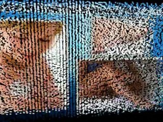 Complete Ringworm Cure Guide