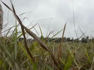 UFO .chine. 03.04. 2012
