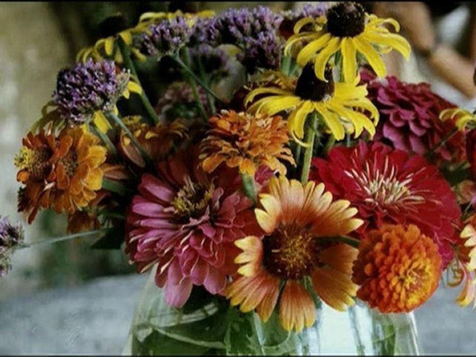 JOUR APRES JOUR - Bande-annonce VF