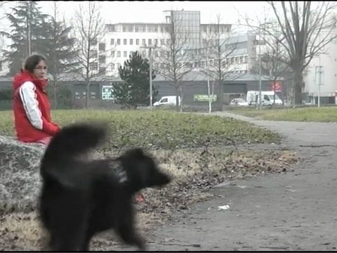 Exercices 2011-2012, par école Gabriel Péri (CM1-CM2), St M. d'Hères (Grenoble)