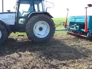 Semis direct de féverole