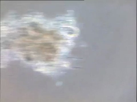 Observation d'une boue activée de Noisy-le-Grand au microscope