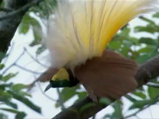 UN JOUR SUR TERRE - Bande-annonce2 VF