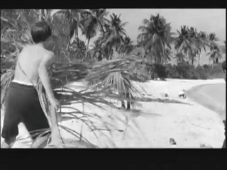 SA MAJESTE DES MOUCHES - Bonus VO