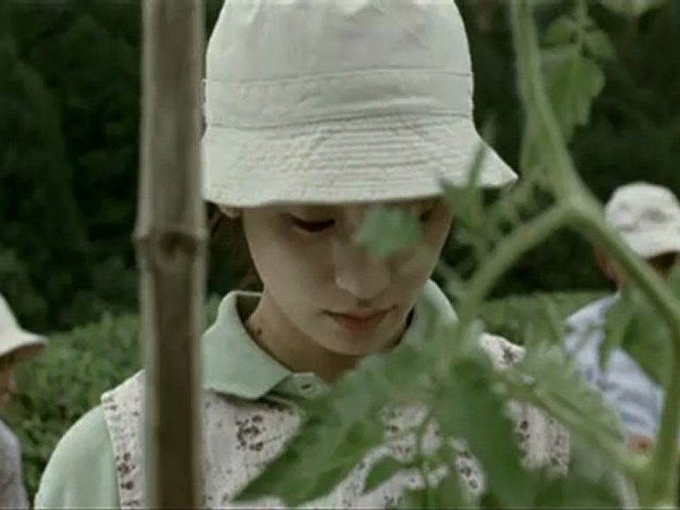 LA FORET DE MOGARI - Teaser VO