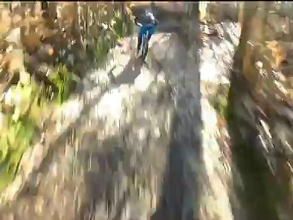 Borja y Carrasco