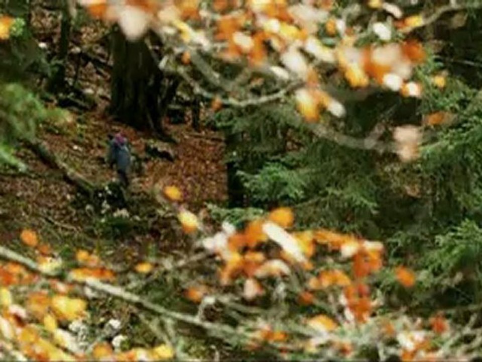 LE RENARD ET L'ENFANT - Bande-annonce2 VF