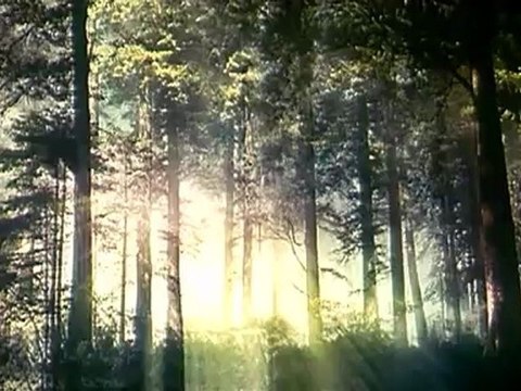 LES CHRONIQUES DE SPIDERWICK - Bande-annonce2 VO