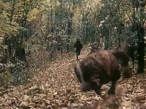 LES CHRONIQUES DE SPIDERWICK - Teaser VF