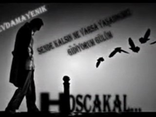 Geceleri gün çiçeği gibi boynumu eğme ey rüzgar( Y.JANUARY)