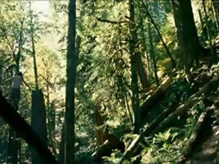 INTO THE WILD - Bande-annonce VO