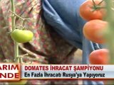 DOMATES İHRACAT ŞAMPİYONU 03.04.2012