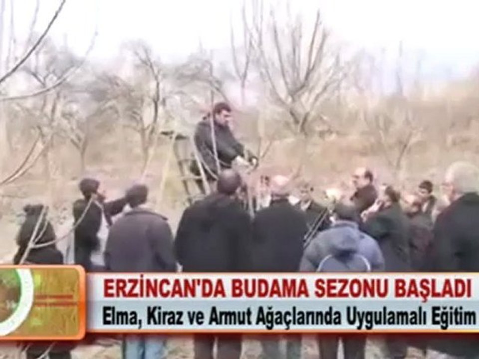 ERZİNCAN’DA BUDAMA SEZONU BAŞLADI 03.04.2012