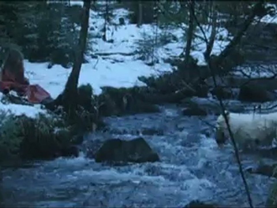 SURVIVRE AVEC LES LOUPS - Bande-annonce VF