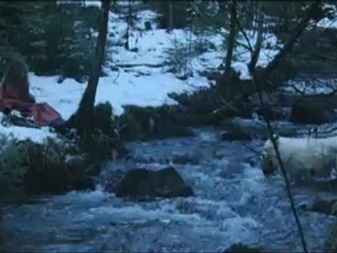 SURVIVRE AVEC LES LOUPS - Bande-annonce VF