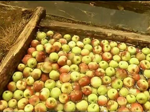 PROMETS-MOI - Bande-annonce VO