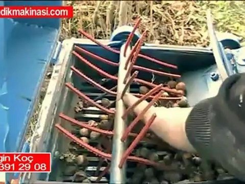 fındık toplama makinası videosu izle