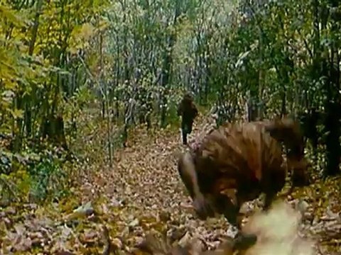 LES CHRONIQUES DE SPIDERWICK - Bande-annonce VF