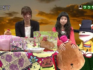 saku　saku (20120406-04