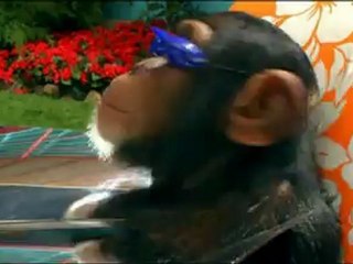 SPEED RACER - Bande-annonce2 VO