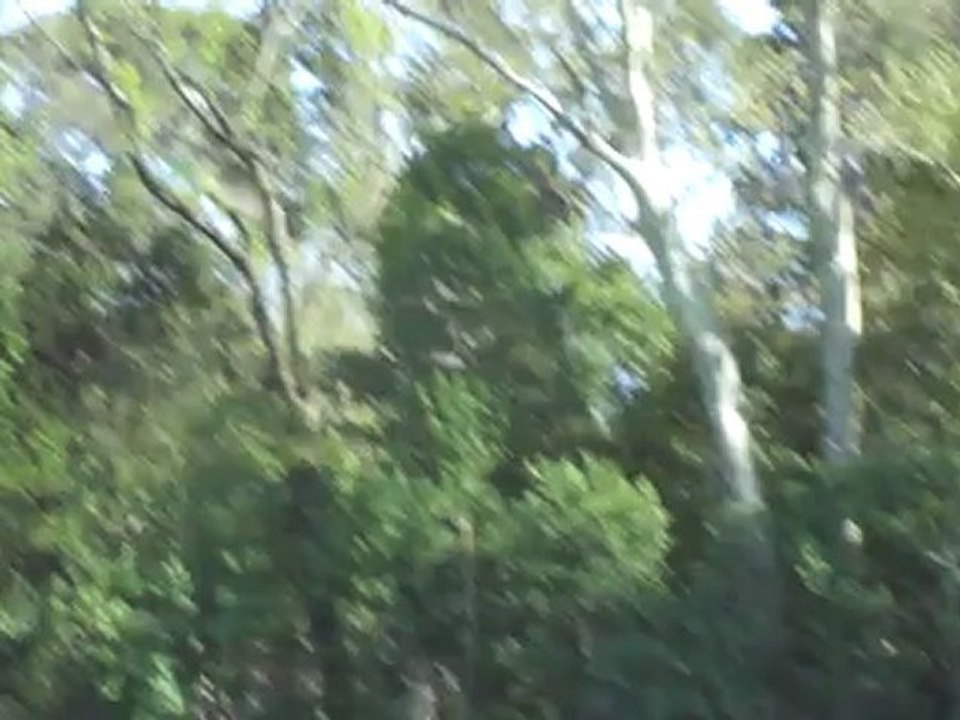 Premiers vols MiniProtos