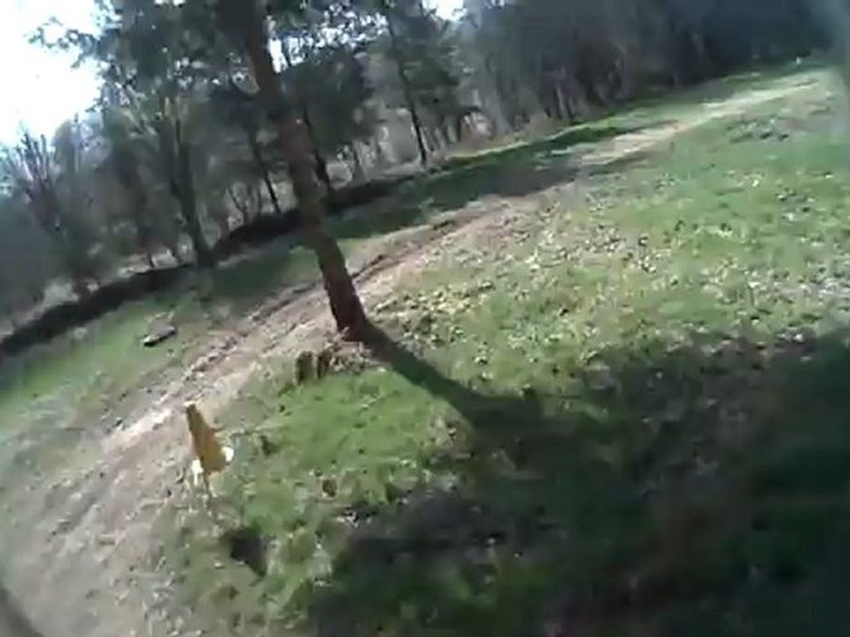 Stage enduro