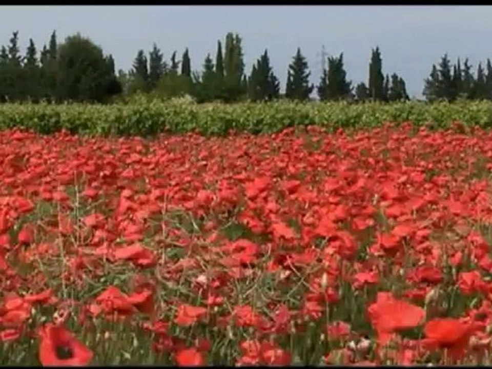 FRANCE CHEMINS DE COMPOSTELLE - Bande-annonce VF