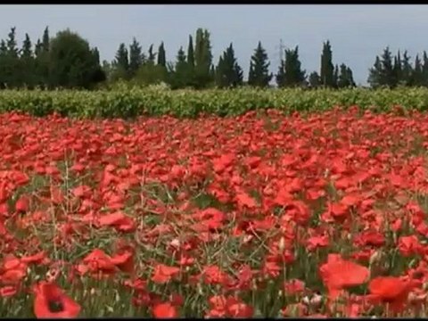 FRANCE CHEMINS DE COMPOSTELLE - Bande-annonce VF