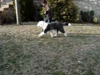 krumble pie of snowboot bears 5 mois.