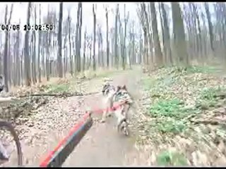 entrainement gin et achak 0604