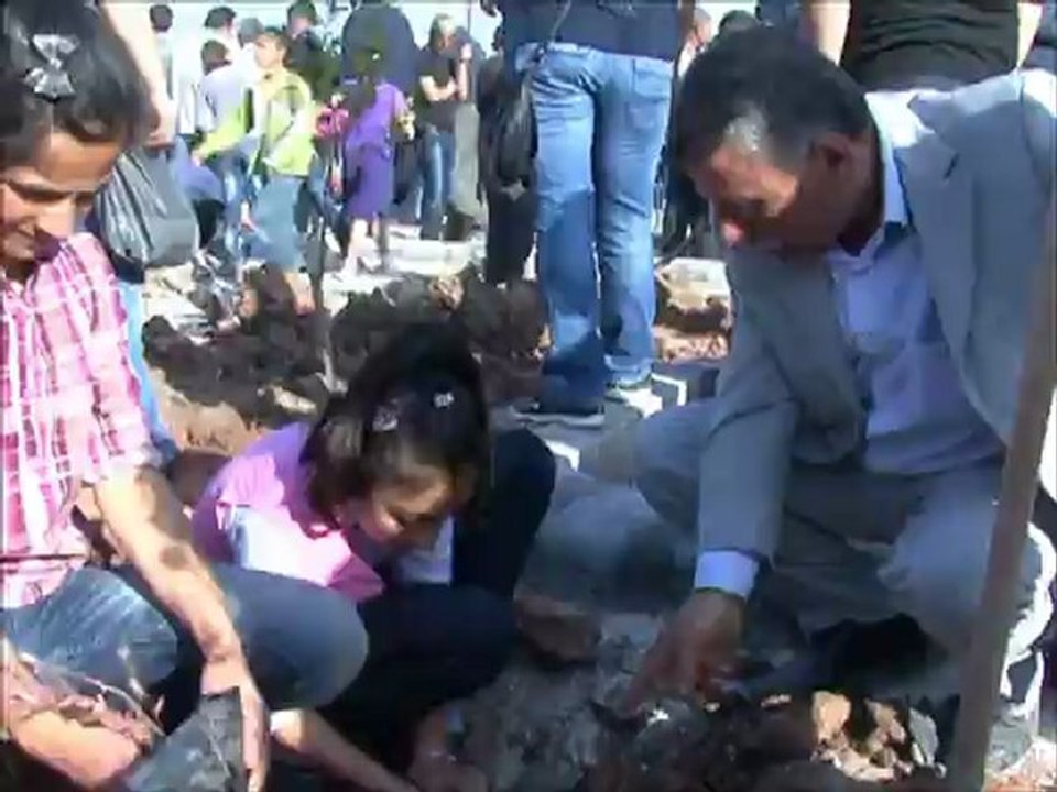 dikili bir ağacın yoksa sen de yoksun kampanyası