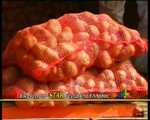 Πατάτες Νευροκοπίου στη Λιβαδειά