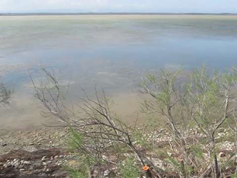 Bord de l'étang de Canet (Pyrénées Orientales) à partir du site d'observation au village des pécheurs