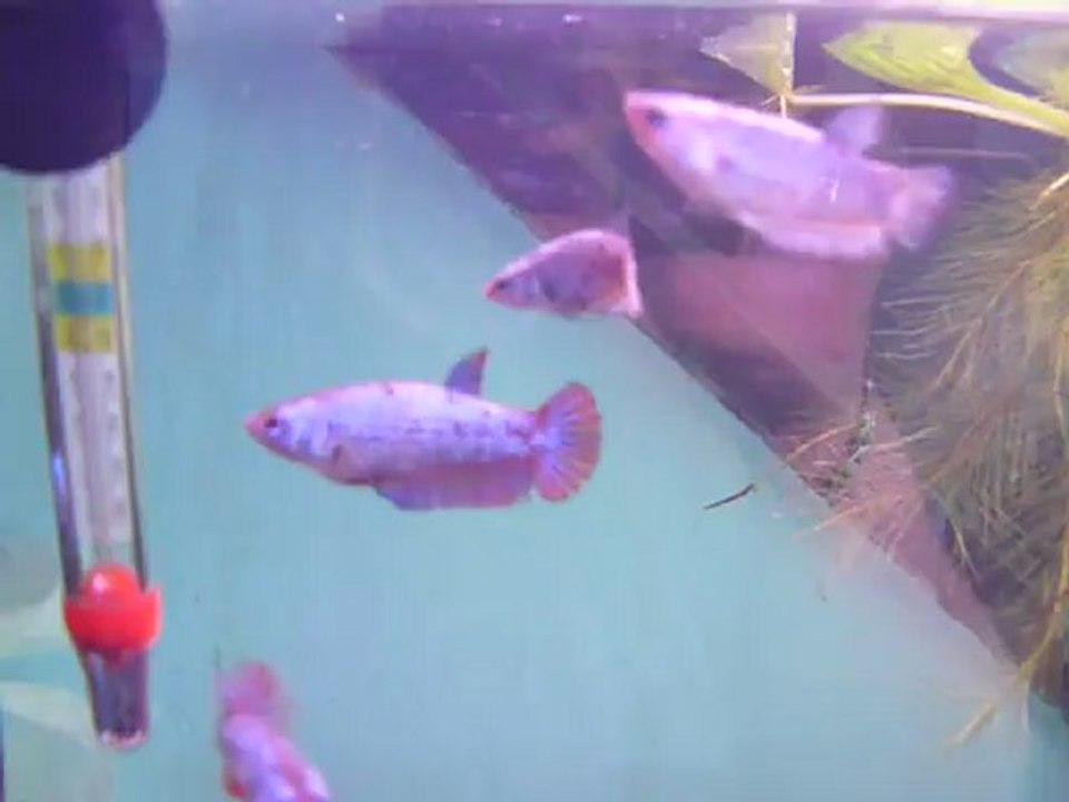 P1080030