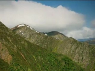 Karmate   YAYLA ÇİÇEĞİ