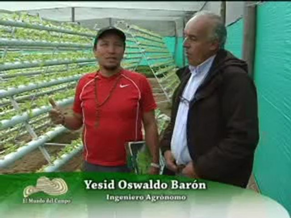 LECHUGA HIDROPONICA Abril 7 de 2012