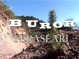 Türk Ormancısının Geliştirdiği Yöntem Buror Teras