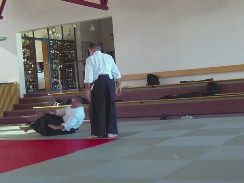 Tachi-waza Gyaku-hanmi Katate-dori Shiho-nage Omote