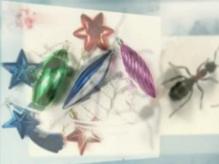 Pest Arrest (864) 967-0034