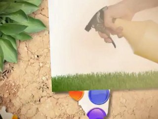 E & J Termite & Pest Control LLC