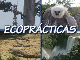 Download Video: EcoPrácticas: ¿Por qué debemos cuidar y ayudar a mantener nuestros parque nacionales?