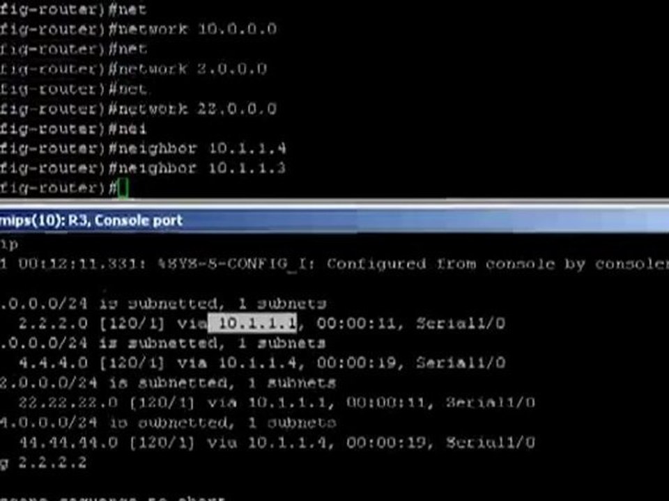 Configuring RIP Static Neighbors